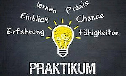 Wir begrüßen 2 Praktikantinnen in unserem Team